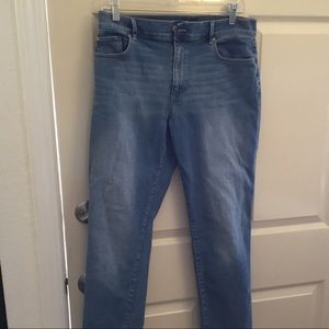 Ann Taylor Factory Skinny Jeans Medium Wash